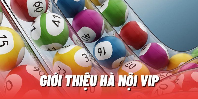 Tổng hợp thông tin cơ bản về Hà Nội Víp là gì?